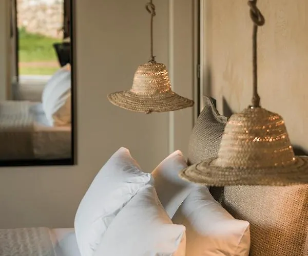 Willa Frg - Cantare *